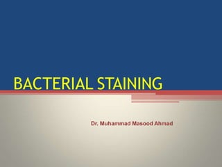 BACTERIAL STAINING
Dr. Muhammad Masood Ahmad
 