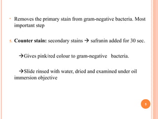 • Removes the primary stain from gram-negative bacteria. Most
important step
5. Counter stain: secondary stains  safranin added for 30 sec.
Gives pink/red colour to gram-negative bacteria.
Slide rinsed with water, dried and examined under oil
immersion objective
5
 