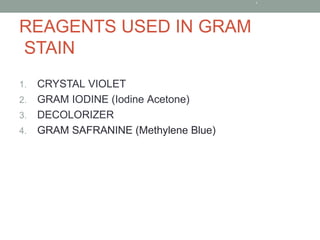 Gram Stain Procedure and practical analysis.pptx