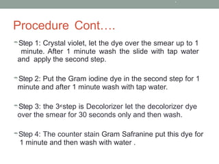 Gram Stain Procedure and practical analysis.pptx