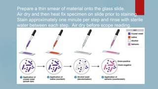 Prepare a thin smear of material onto the glass slide.
Air dry and then heat fix specimen on slide prior to staining.
Stain approximately one minute per step and rinse with sterile
water between each step. Air dry before scope reading.
 