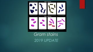 Gram stains
2019 UPDATE
 