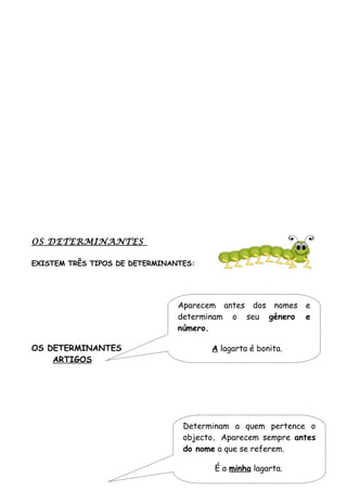 OS DETERMINANTES
EXISTEM TRÊS TIPOS DE DETERMINANTES:
OS DETERMINANTES
ARTIGOS
Aparecem antes dos nomes e
determinam o seu género e
número.
A lagarta é bonita.
Determinam a quem pertence o
objecto. Aparecem sempre antes
do nome a que se referem.
É a minha lagarta.
 