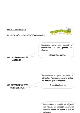 OSDETERMINANTES
EXISTEM TRÊS TIPOS DE DETERMINANTES:
OS DETERMINANTES
ARTIGOS
OS DETERMINANTES
POSSESSIVOS
Aparecem antes dos nomes e
determinam o seu género e
número.
A lagarta é bonita.
Determinam a quem pertence o
objecto. Aparecem sempre antes
do nome a que se referem.
É a minha lagarta.
Determinam a posição do objecto
em relação ao emissor. Aparecem
sempre antes do nome a que se
referem.
 