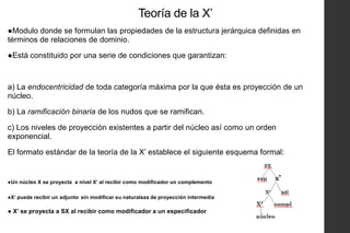 Teoría de la X’
●Modulo donde se formulan las propiedades de la estructura jerárquica definidas en
términos de relaciones de dominio.
●Está constituido por una serie de condiciones que garantizan:

a) La endocentricidad de toda categoría máxima por la que ésta es proyección de un
núcleo.
b) La ramificación binaria de los nudos que se ramifican.
c) Los niveles de proyección existentes a partir del núcleo así como un orden
exponencial.
El formato estándar de la teoría de la X’ establece el siguiente esquema formal:

●Un núcleo X se proyecta a nivel X’ al recibir como modificador un complemento
●X’ puede recibir un adjunto sin modificar su naturaleza de proyección intermedia

● X’ se proyecta a SX al recibir como modificador a un especificador

 