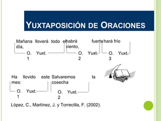 YUXTAPOSICIÓN DE ORACIONES
Mañana lloverá todo el
día,
habrá fuerte
viento,
hará frío
O. Yuxt.
1
O. Yuxt.
2
O. Yuxt.
3
Ha llovido este
mes:
Salvaremos la
cosecha
O. Yuxt.
1
O. Yuxt.
2
López, C., Martínez, J. y Torrecilla, F. (2002).
 