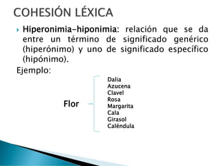  Hiperonimia-hiponimia: relación que se da
entre un término de significado genérico
(hiperónimo) y uno de significado específico
(hipónimo).
Ejemplo:
Flor
Dalia
Azucena
Clavel
Rosa
Margarita
Cala
Girasol
Caléndula
 