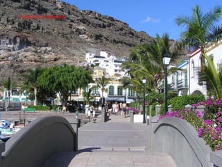 PUERTO DE MOGAN 