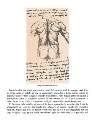 Dibujo de Leonardo da Vinci
Los músculos, que constituyen casi la mitad del volumen total del cuerpo, modifican
su forma según el estado en que se encuentran: hinchados y duros cuando entran en
acción, blandos y más alargados cuando están inertes. Pero pueden entrar en acción y
permanecer duros y alargados cuando el movimiento de los huesos sometidos a
esfuerzos se ve impedido por una causa cualquiera que actúa en sentido opuesto.
El dibujante debe estudiar atentamente la forma y posición de los músculos. Existe la
exageración del aspecto acartonado que adquiere el cuerpo cuando los músculos
resaltan, puesto que estos se hallan recubiertos por la piel y con frecuencia por una
capa de grasa, cuyo grosor varía muchísimo según los individuos y la posición del
 