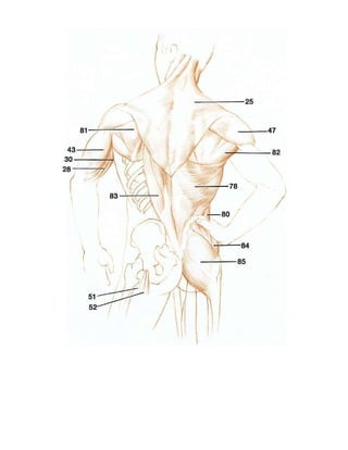 gran-curso-de-dibujo- Domingo Manera.pdf