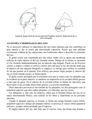 Izquierda: Ángulo facial de una escultura de Praxíteles; Derecho: Ángulo facial de un
simio antropoide
ANATOMÍA YMORFOLOGÍA DEL OJO
No es necesario subrayar la importancia del ojo; todos sabemos que este contribuye en
gran manera a dar al rostro una determinada expresión. Puesto que más adelante
volveremos a hablar de las expresiones, nos limitaremos ahora a describir la estructura
del ojo.
El globo ocular está constituido por una esfera. Sobre ella se apoya una membrana
esférica de radio inferior al del ojo, llamada córnea. Debajo de la córnea se encuentra
el iris, formado fundamentalmente por un músculo muy delgado. Puede ser de diversos
colores y amplía o reduce el orificio a través del cual pasa la luz, del mismo modo que
el objetivo de una máquina fotografía se emplea o se encoge para calibrar la cantidad
de luz que penetra en el aparato. Este orificio, que parece negro porque el interior del
ojo es relativamente oscuro, se llama pupila.
El globo ocular, protegido por la estructura ósea que lo rodea y por los párpados que
lo recubren en su parte anterior, se mantiene en suspensión en la cavidad orbital gracias
a una capa de grasa. En el interior de la cavidad orbital se hallan los músculos, que
hacen girar el ojo en todas direcciones gracias a su acción coordinada.
Otros músculos provocan el movimiento de los párpados; los dos principales son: el
palpebral superior, que abre ambos párpados y el orbicular, que los cierra.
Los dibujantes y, más aún, los pintores, saben que el llamado blanco del ojo no es
nunca absolutamente blanco, sino azulado en los niños y amarillento en las personas
ancianas.
Cuando el párpado superior se levanta, se forma una arruga llamada «surco órbito-
palpebral superior»; debajo del párpado inferior se provoca el «surco órbito-palpebral
inferior», siempre menos profundo que el superior.
El ángulo interior del ojo, más bajo que el exterior, tiene una forma muy distinta a
 