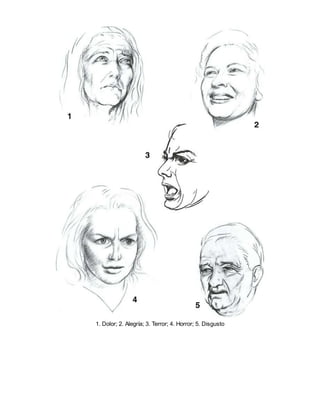 1. Dolor; 2. Alegría; 3. Terror; 4. Horror; 5. Disgusto
 