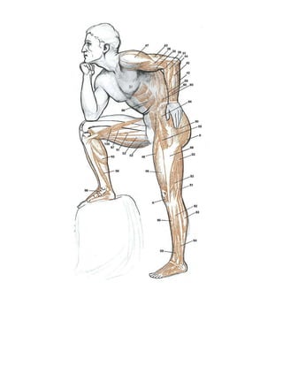 gran-curso-de-dibujo- Domingo Manera.pdf