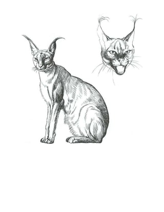gran-curso-de-dibujo- Domingo Manera.pdf