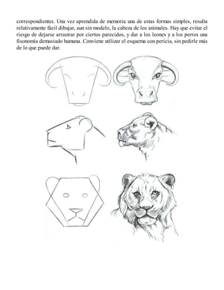 correspondientes. Una vez aprendida de memoria una de estas formas simples, resulta
relativamente fácil dibujar, aun sin modelo, la cabeza de los animales. Hay que evitar el
riesgo de dejarse arrastrar por ciertos parecidos, y dar a los leones y a los perros una
fisonomía demasiado humana. Conviene utilizar el esquema con pericia, sin pedirle más
de lo que puede dar.
 