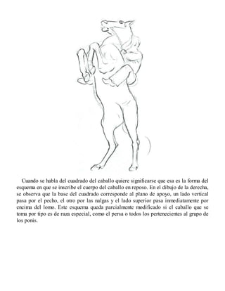 Cuando se habla del cuadrado del caballo quiere significarse que esa es la forma del
esquema en que se inscribe el cuerpo del caballo en reposo. En el dibujo de la derecha,
se observa que la base del cuadrado corresponde al plano de apoyo, un lado vertical
pasa por el pecho, el otro por las nalgas y el lado superior pasa inmediatamente por
encima del lomo. Este esquema queda parcialmente modificado si el caballo que se
toma por tipo es de raza especial, como el persa o todos los pertenecientes al grupo de
los ponis.
 