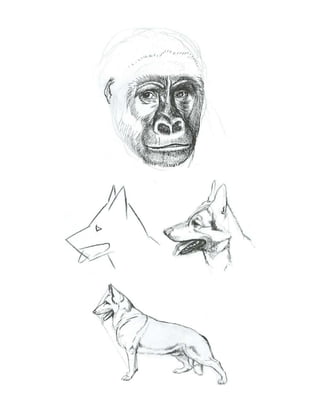 gran-curso-de-dibujo- Domingo Manera.pdf