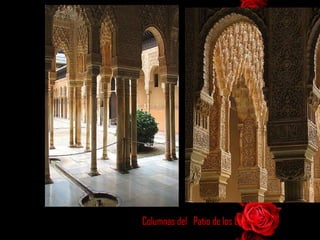 Columnas del  Patio de los Leones 