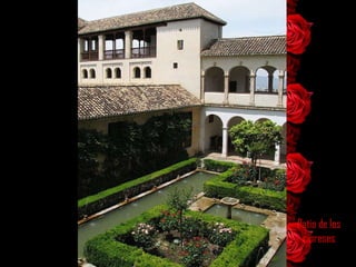 Patio de los cipreses 