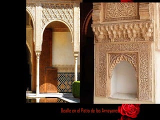 Dealle en el Patio de los Arrayanes 