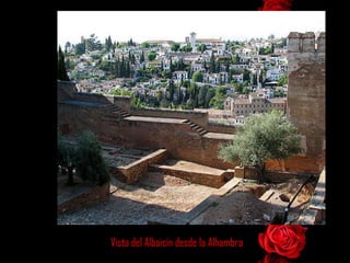 Vista del Albaicín desde la Alhambra 