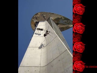 Parque de las ciencias 