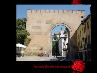 Puerta del Elvira (la más antigua de la ciudad) 