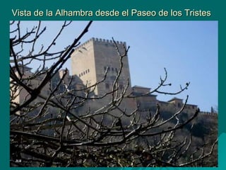Vista de la Alhambra desde el Paseo de los Tristes 