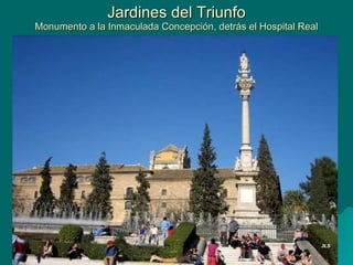 Jardines del Triunfo Monumento a la Inmaculada Concepción, detrás el Hospital Real 