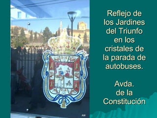 Reflejo de los Jardines del Triunfo en los cristales de la parada de autobuses. Avda. de la Constitución 