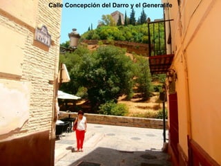 Calle Concepción del Darro y el Generalife
 