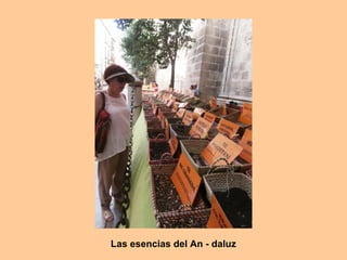 Las esencias del An - daluz
 