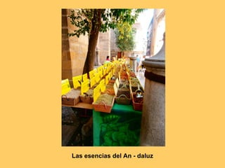 Las esencias del An - daluz
 