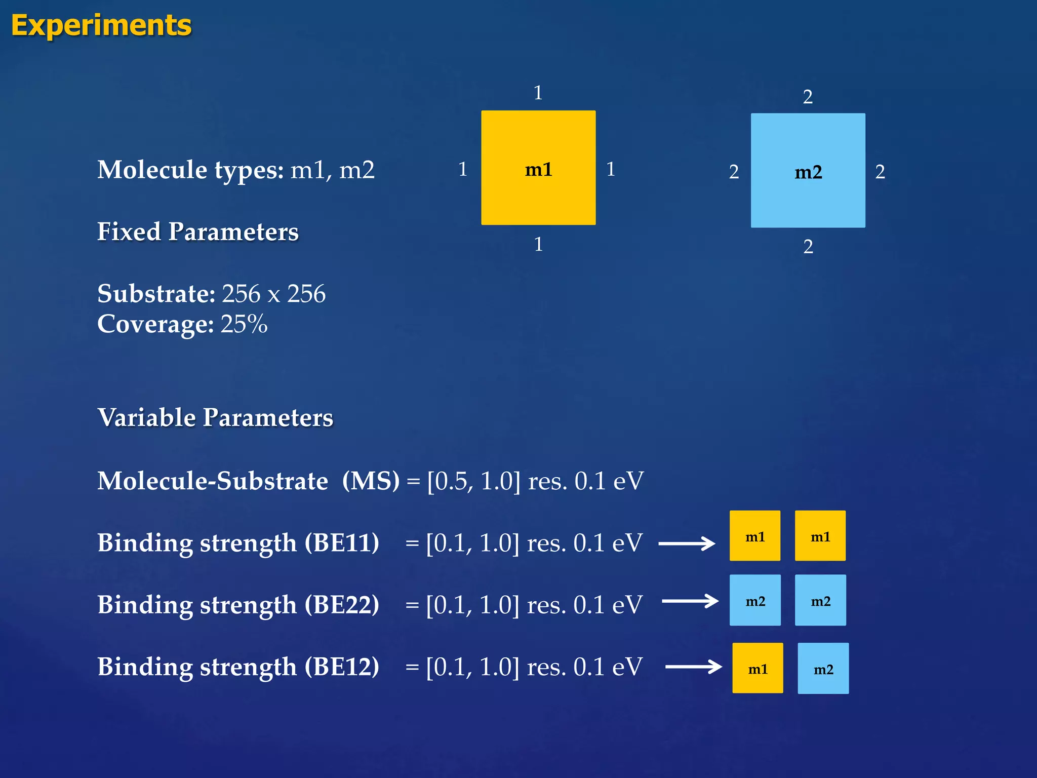 Molecule types: m1, m2	
	
Fixed Parameters 	
	
Substrate: 256 x 256	
Coverage: 25%	
	
	
Variable Parameters	
	
Molecule-Substrate (MS) = [0.5, 1.0] res. 0.1 eV	
	
Binding strength (BE11) = [0.1, 1.0] res. 0.1 eV	
	
Binding strength (BE22) = [0.1, 1.0] res. 0.1 eV	
	
Binding strength (BE12) = [0.1, 1.0] res. 0.1 eV	
m1	
1	
1	
1	
1	
2	
m2	 2	
2	
2	
Experiments	
m1	 m1	
m2	 m2	
m1	 m2	
 