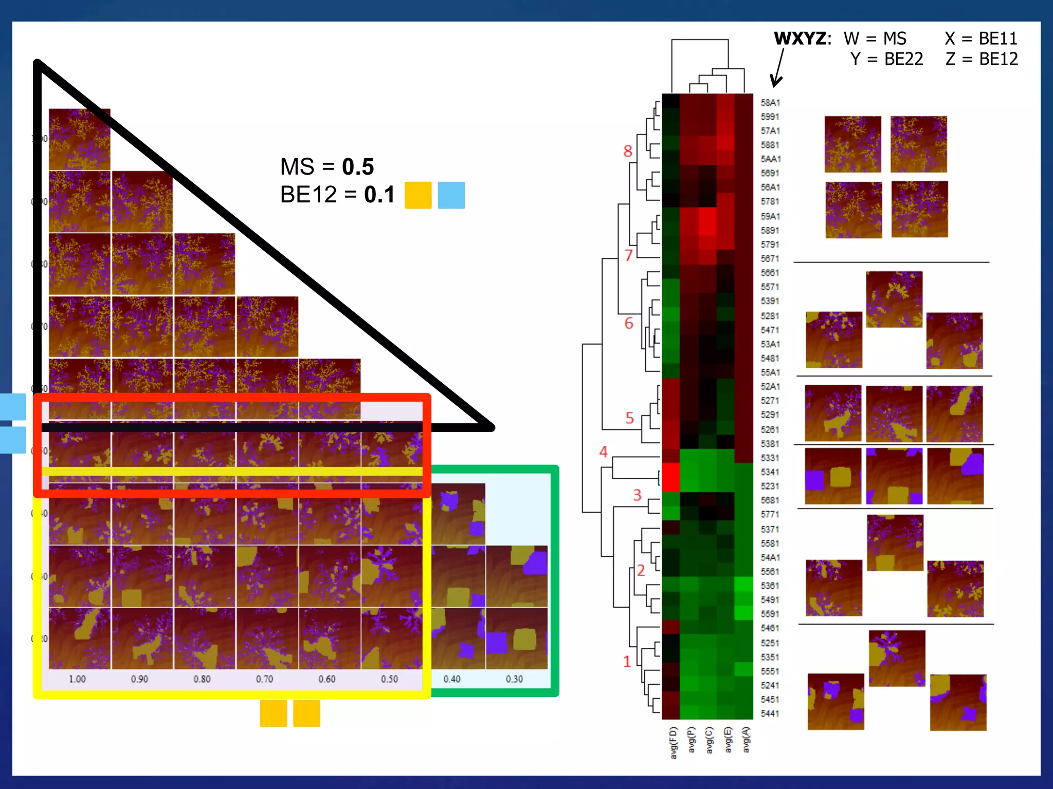 WXYZ: W = MS X = BE11
Y = BE22 Z = BE12
MS = 0.5
BE12 = 0.1
	
 