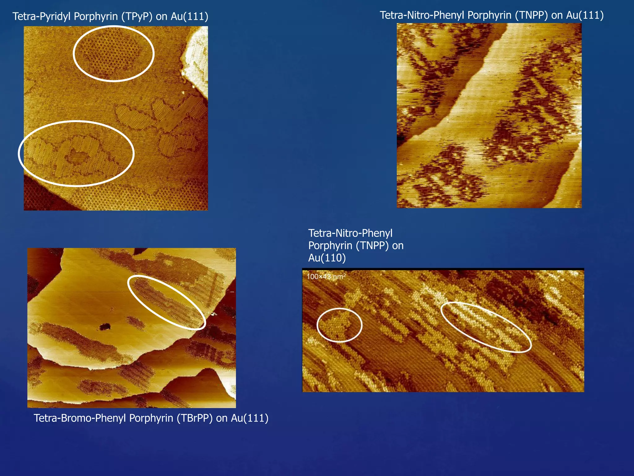 Tetra-Pyridyl Porphyrin (TPyP) on Au(111) Tetra-Nitro-Phenyl Porphyrin (TNPP) on Au(111)
Tetra-Nitro-Phenyl
Porphyrin (TNPP) on
Au(110)
Tetra-Bromo-Phenyl Porphyrin (TBrPP) on Au(111)
 