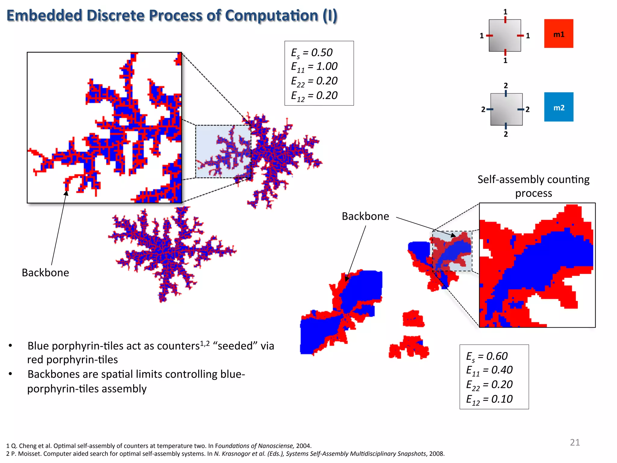 Backbone	
Self-assembly	coun6ng	
process	
•  Blue	porphyrin-6les	act	as	counters1,2	“seeded”	via	
red	porphyrin-6les	
•  Backbones	are	spa6al	limits	controlling	blue-
porphyrin-6les	assembly	
1	Q.	Cheng	et	al.	Op6mal	self-assembly	of	counters	at	temperature	two.	In	Founda&ons	of	Nanosciense,	2004.	
2	P.	Moisset.	Computer	aided	search	for	op6mal	self-assembly	systems.	In	N.	Krasnogor	et	al.	(Eds.),	Systems	Self-Assembly	Mul&disciplinary	Snapshots,	2008.	
m1	
m2	
Embedded	Discrete	Process	of	Computa%on	(I)	
21	
Backbone	
Es	=	0.50			
E11	=	1.00			
E22	=	0.20			
E12	=	0.20	
Es	=	0.60			
E11	=	0.40			
E22	=	0.20			
E12	=	0.10	
 