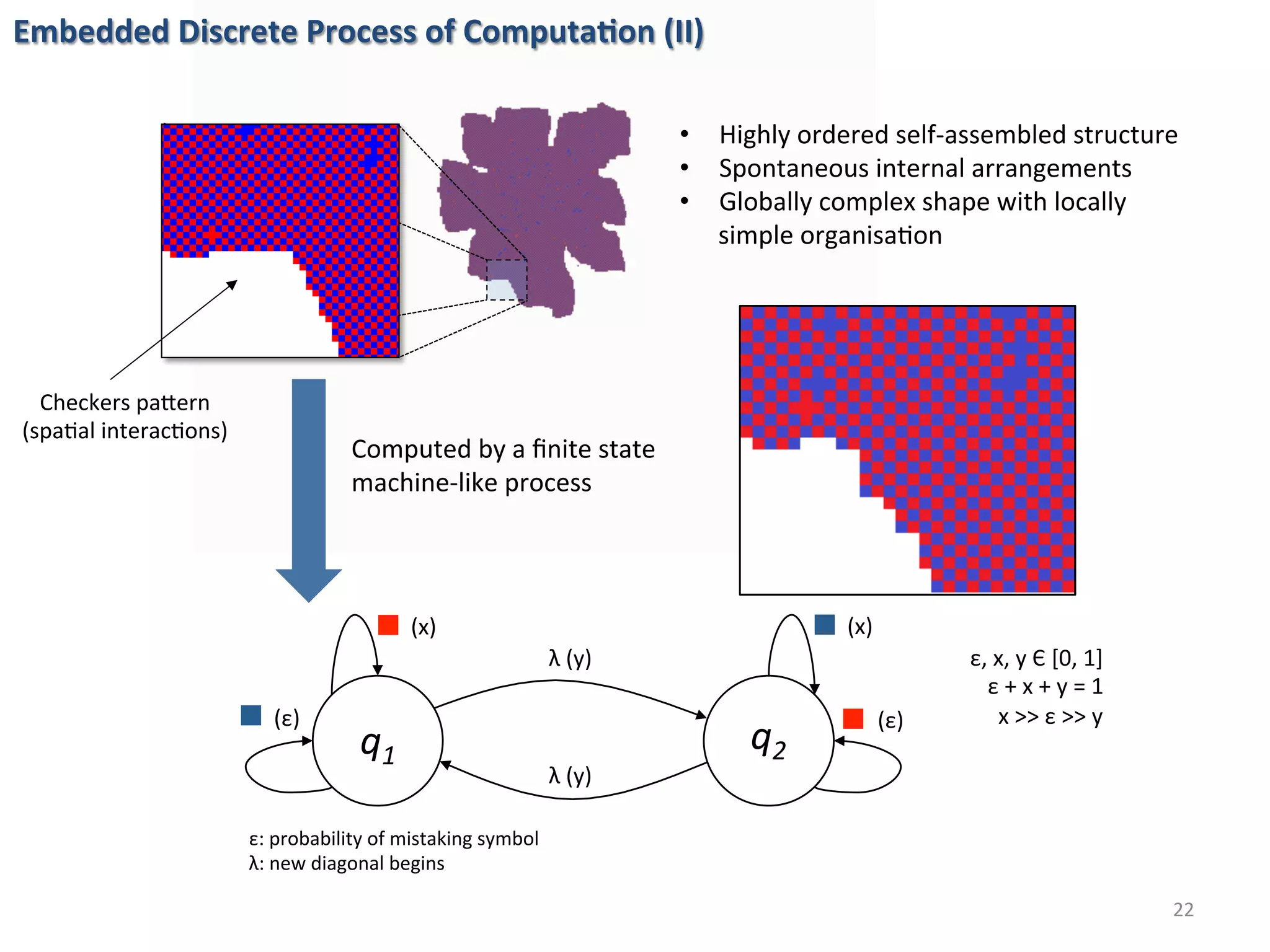 Embedded	Discrete	Process	of	Computa%on	(II)	
22	
Checkers	paLern	
(spa6al	interac6ons)	
•  Highly	ordered	self-assembled	structure	
•  Spontaneous	internal	arrangements	
•  Globally	complex	shape	with	locally	
simple	organisa6on	
λ	(y)	
λ	(y)	
(x)	
(ε)	 (ε)	
(x)	
q1	
q2	
ε,	x,	y	Є	[0,	1]	
ε	+	x	+	y	=	1	
x	>>	ε	>>	y	
Computed	by	a	ﬁnite	state	
machine-like	process	
ε:	probability	of	mistaking	symbol	
λ:	new	diagonal	begins		
 