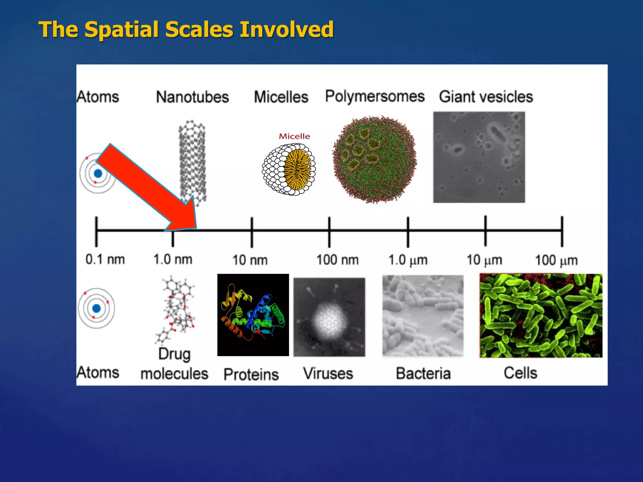 The Spatial Scales Involved
 