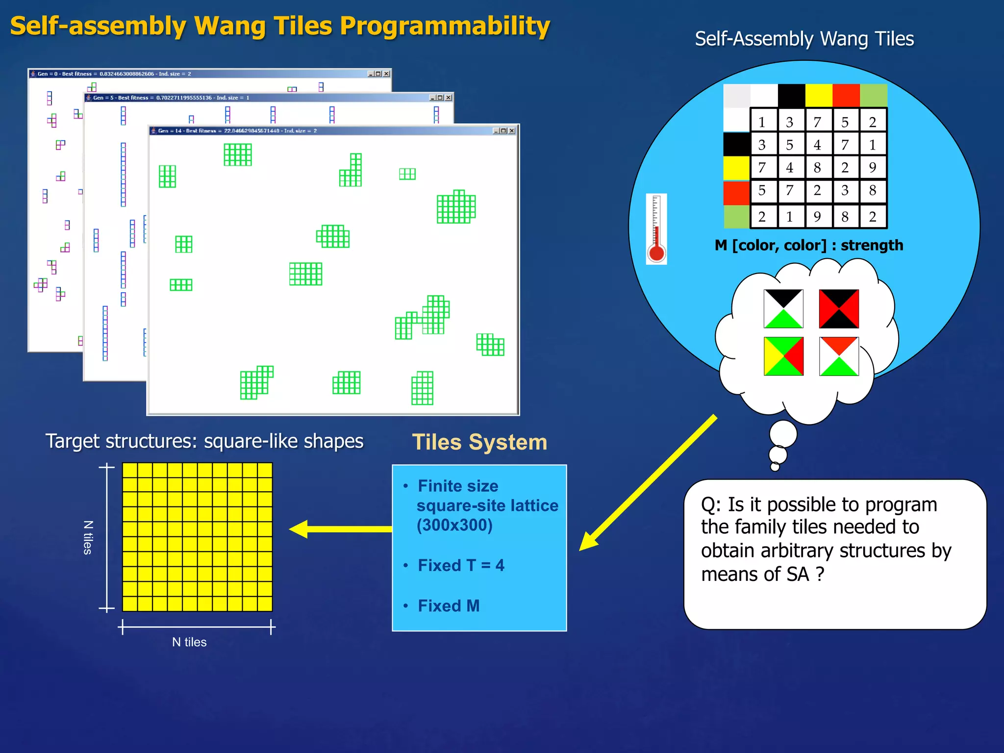 Self-assembly Wang Tiles Programmability	 Self-Assembly Wang Tiles
Target structures: square-like shapes
N tiles
Ntiles
Tiles System
•  Finite size
square-site lattice
(300x300)
•  Fixed T = 4
•  Fixed M
Q: Is it possible to program
the family tiles needed to
obtain arbitrary structures by
means of SA ?
M [color, color] : strength
1	 3	 7	 5	 2	
3	 5	 4	 7	 1	
7	 4	 8	 2	 9	
5	 7	 2	 3	 8	
2	 1	 9	 8	 2	
 