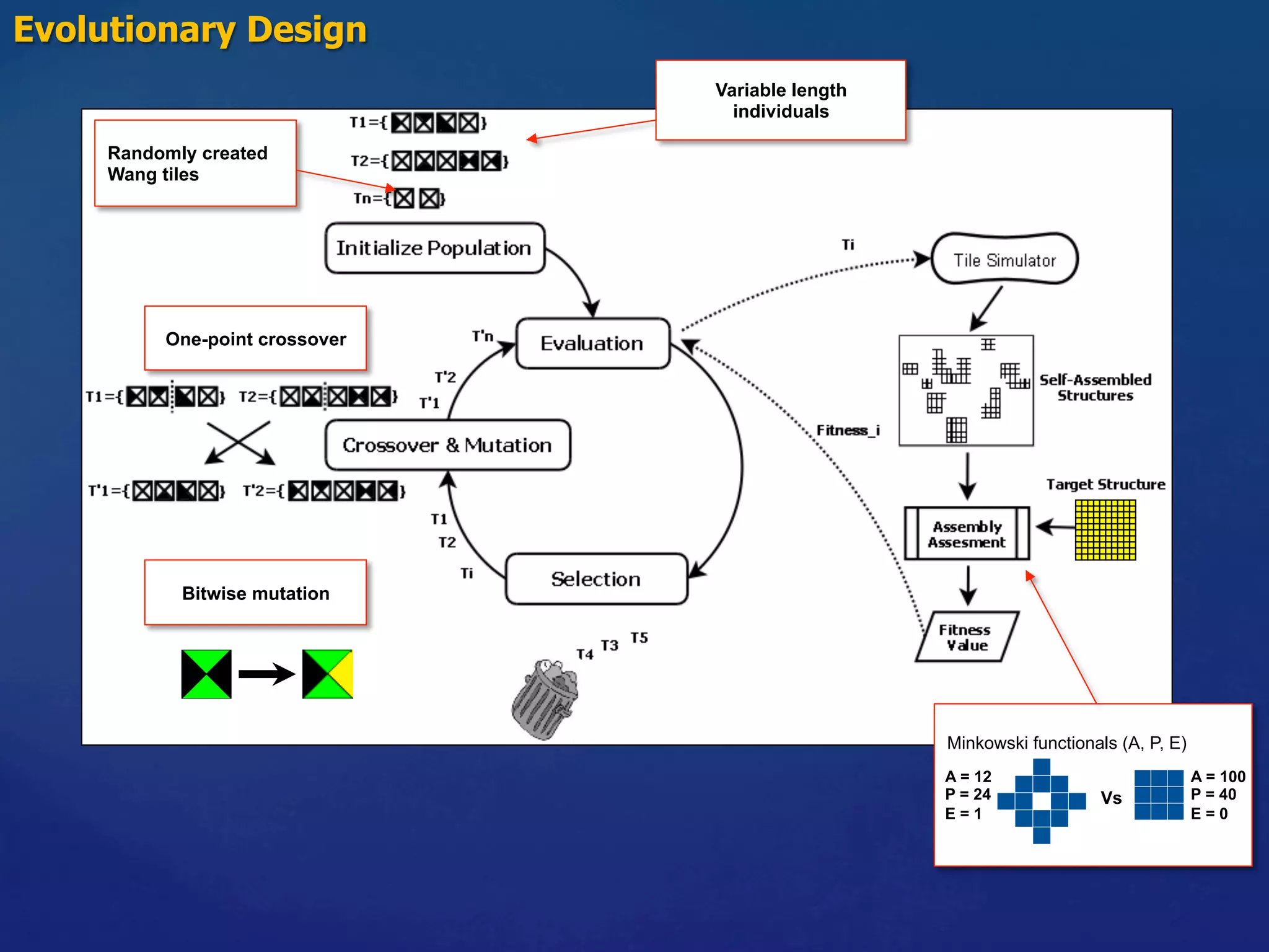 Minkowski functionals (A, P, E)
A = 12
P = 24
E = 1
A = 100
P = 40
E = 0
Evolutionary Design
Variable length
individuals
Randomly created
Wang tiles
Bitwise mutation
Vs
One-point crossover
 