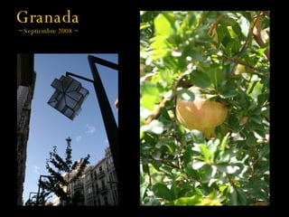 Granada ~ Septiembre 2008 ~ 