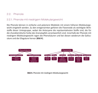 2.2.	Phenole
2.2.1.	 Phenole mit niedrigem Molekulargewicht
Die Phenole können in einfache und polymere Moleküle mit einem höheren Molekularge-
wicht eingeteilt werden. Zu den erstgenannten gehören die Flavonoide als wichtigste Wirk-
stoffe dieser Untergruppe, wobei die Antocyane die repräsentativsten Stoffe sind, die für
die charakteristische Farbe des Granatapfels verantwortlich sind. Innerhalb der Phenole mit
niedrigem Molekulargewicht ragen die Phenolsäuren und bei diesen wiederum die Gallus-
säure und die Ellagsäure hervor (Bild 4).
Bild 4. Phenole mit niedrigem Molekulargewicht  
 