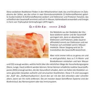 Diese oxidativen Reaktionen finden in den Mitochondrien statt; das sind Strukturen im Zyto-
plasma der Zellen, wo das schon in zwei Brenzsäuremoleküle (3 Kohlenstoffatome) geteil-
te Zuckermolekül (6 Kohlenstoffatome) oxidiert und Elektronen und Protonen freisetzt, das
schließlich den Sauerstoff annimmt und sich in Wasser, Kohlendioxid verwandelt und Energie
in Form von Triphosphat-Verknüpfungen (ATP) lagert.
O2 + 4 H+ 4 e-    ====>  2 H2O
Die Moleküle aus der Oxidation der Glu-
kose oxidieren weiter und der Sauerstoff
verringert sich, denn er absorbiert die
Elektronen und Protonen; jedes Sauerst-
offmolekül nimmt vier Elektronen und vier
Protonen auf und bildet somit 2 Wasser-
moleküle. Dieser Vorgang wird als Te-
trareduktion des Sauerstoffs bezeichnet.
Aber nicht immer tritt es so genau ein und
es wird geschätzt, dass zu 5 % Mono- und
Bireduktionen entstehen und kein Wasser
und CO2 erzeugt werden, welche leicht über die natürlichen Wege der Ausscheidungsorgane
(Niere, Lunge, Haut) entfernt werden können; ferner können schädliche reaktive Sauerstoffs-
pezies (ROS) erzeugt werden, die der Gesundheit schaden, denn sie halten die Oxidation un-
seres gesunden Gewebes aufrecht und verursachen Krankheiten. Diese 5 % sind sozusagen
der „Ruß“ des „Stoffwechselkamins“, durch den wir mit der Zeit erkranken oder schneller
altern, wenn wir ihn nicht entfernen. Die am meisten davon betroffenen Systeme sind der
Blutkreislauf, das Nervensystem oder das Immunsystem.
 