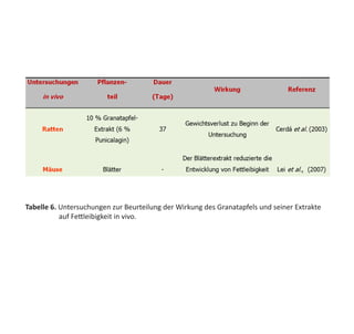 Tabelle 6. Untersuchungen zur Beurteilung der Wirkung des Granatapfels und seiner Extrakte
	      auf Fettleibigkeit in vivo.
 