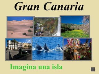 Gran Canaria   Imagina una isla   