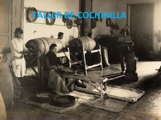 TALLER DE COCHINILLA  