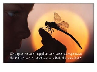 Chaque heure, appliquer une compresse de Patience et avaler un bol d’humilité. 