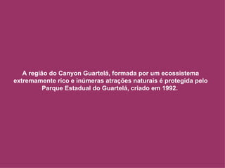 A região do Canyon Guartelá, formada por um ecossistema extremamente rico e inúmeras atrações naturais é protegida pelo Parque Estadual do Guartelá, criado em 1992.  