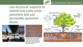 GREEN INFRASTRUCTURE CENTER INC.
Permeable pavers allow water to
reach tree roots. Tree at left is
planted with structural...